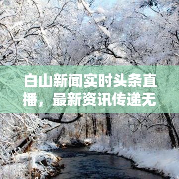 白山新闻实时头条直播，最新资讯传递无延迟