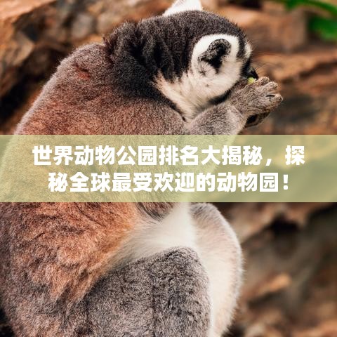 世界动物公园排名大揭秘，探秘全球最受欢迎的动物园！