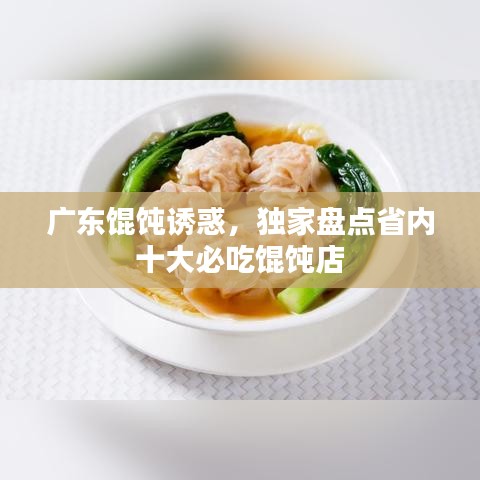 广东馄饨诱惑，独家盘点省内十大必吃馄饨店