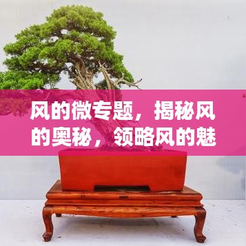 风的微专题，揭秘风的奥秘，领略风的魅力