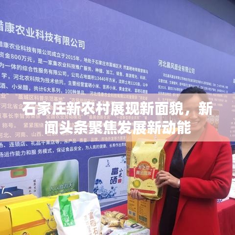 石家庄新农村展现新面貌，新闻头条聚焦发展新动能