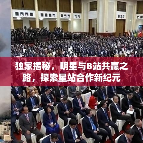 独家揭秘，明星与B站共赢之路，探索星站合作新纪元