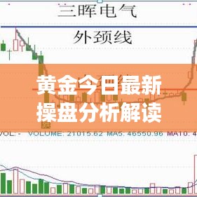 没张倒置 第2页