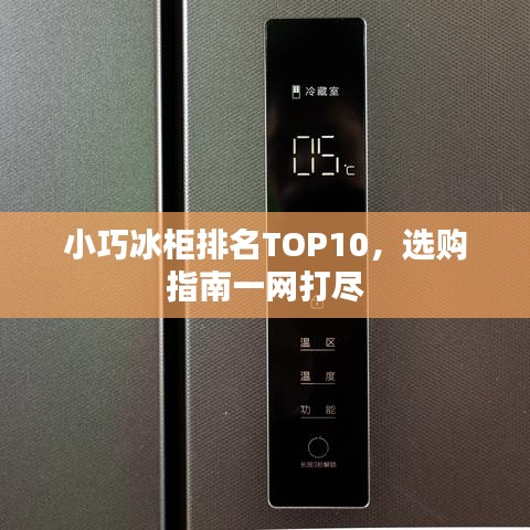 小巧冰柜排名TOP10，选购指南一网打尽