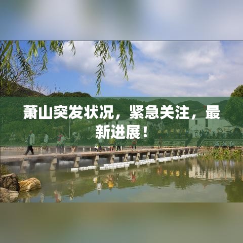 萧山突发状况，紧急关注，最新进展！