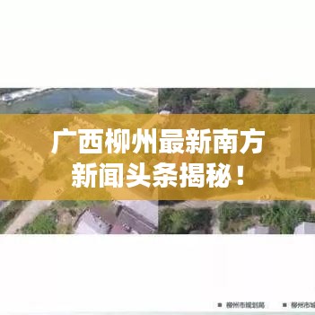 荆钗布裙 第2页