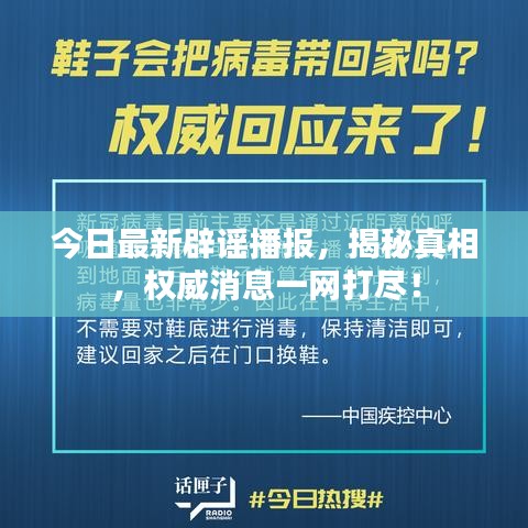 今日最新辟谣播报，揭秘真相，权威消息一网打尽！