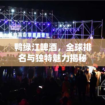 鸭绿江啤酒，全球排名与独特魅力揭秘