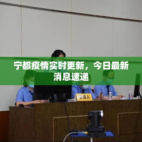 宁都疫情实时更新，今日最新消息速递