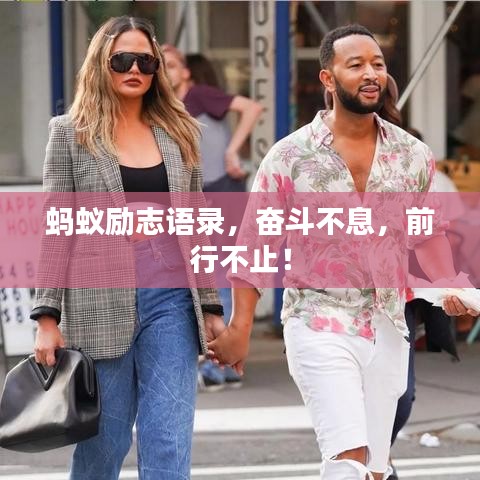 蚂蚁励志语录，奋斗不息，前行不止！