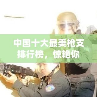 中国十大最美枪支排行榜，惊艳你的眼球！