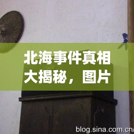 北海事件真相大揭秘，图片证据曝光！