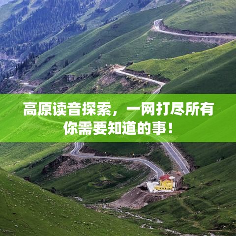 高原读音探索，一网打尽所有你需要知道的事！