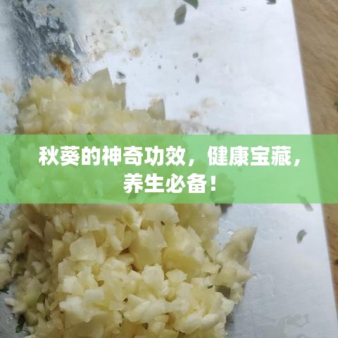 秋葵的神奇功效，健康宝藏，养生必备！