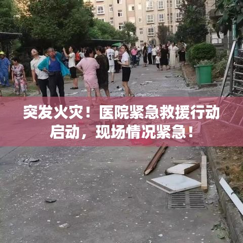 衣不兼采 第2页