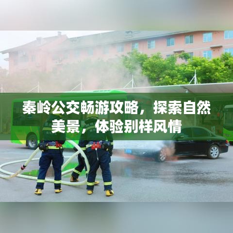 秦岭公交畅游攻略，探索自然美景，体验别样风情
