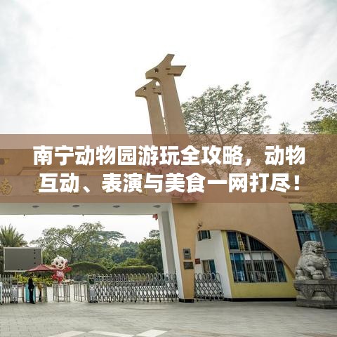 南宁动物园游玩全攻略，动物互动、表演与美食一网打尽！