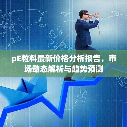 pE粒料最新价格分析报告，市场动态解析与趋势预测