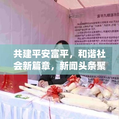 共建平安富平，和谐社会新篇章，新闻头条聚焦富平发展