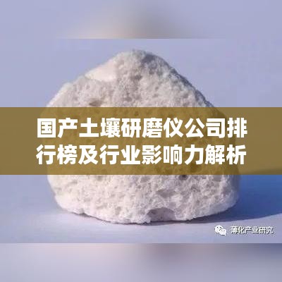小鸟伊人 第2页