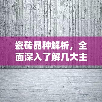 瓷砖品种解析，全面深入了解几大主流瓷砖种类