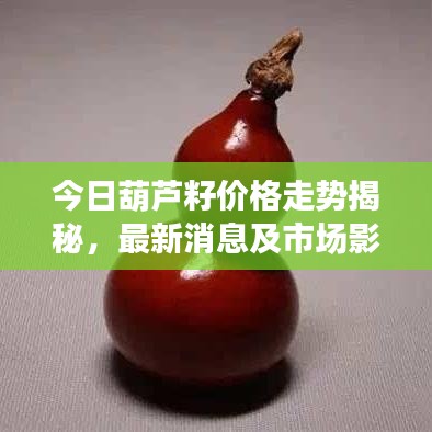 今日葫芦籽价格走势揭秘，最新消息及市场影响因素分析