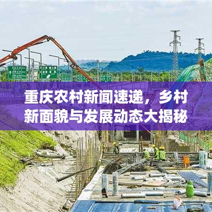 重庆农村新闻速递，乡村新面貌与发展动态大揭秘