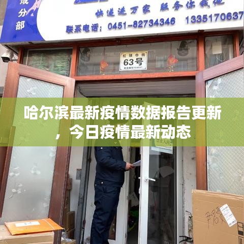 哈尔滨最新疫情数据报告更新，今日疫情最新动态