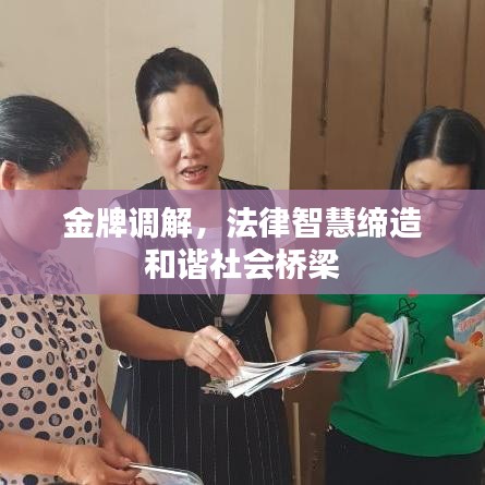 金牌调解，法律智慧缔造和谐社会桥梁