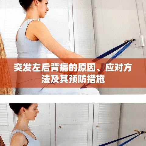 突发左后背痛的原因、应对方法及其预防措施