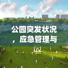 公园突发状况，应急管理与公众安全的紧密交汇点