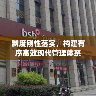 制度刚性落实，构建有序高效现代管理体系