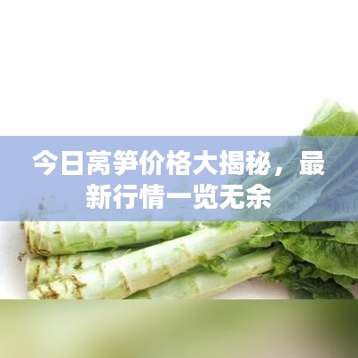 今日莴笋价格大揭秘，最新行情一览无余