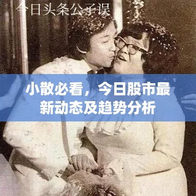小散必看，今日股市最新动态及趋势分析