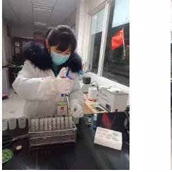 关于微信苹果历史版本下载，定量分析解释定义模拟版_v9.259的FAQ