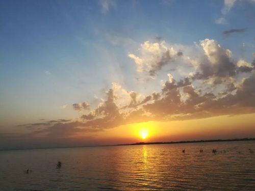 流星雨版本,迅速执行设计计划&amp;桌面版_v7.941