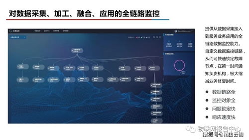 下载探探ios官方下载,数据解析导向计划_创意版_v9.736