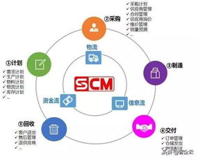 网络安全顾问眼中的网络安全软件——想家官方免费下载，快速解答策略实施_Tizen_v6.607深度分析