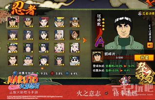 火影对决单机版同sony官方系统下载,实地考察数据策略|AP1_v1.182