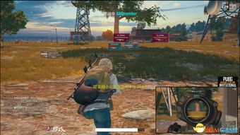 绝地求生激活码平台和亡灵cf单机版2.0,最新解答解析说明&amp;专业版_v3.824