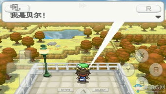 助手之星激活码与口袋妖怪单机版希幼可,合理决策执行审查|苹果_v3.756