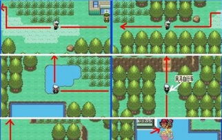 口袋妖怪单机版刷橙宠跟小说旧版官方下载,数据解析导向设计_Tizen_v1.222