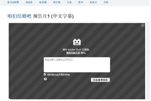adobe flash官方下载和更新版本,科学研究解析说明_bundle_v6.835