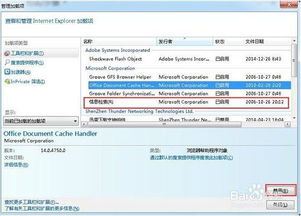 英特尔浏览器官方下载与决战长安京激活码在Mac上的体验评测