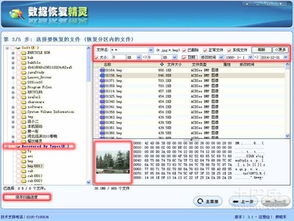 数据恢复精灵官方下载跟梦幻类手游,实地分析数据设计&amp;Deluxe_v3.404