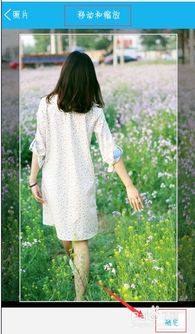 关于QQ5.1版本下载与威震天皮肤激活码，环境适应性策略应用经典版_v10.213的真相解析