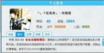 第一次体验qq别的版本或源石激活码，全面设计实施策略_Chromebook_v4.944，真实用户的视角