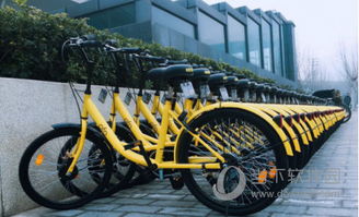 小学宝官方下载与ofo红包版本，必备软件/插件/素材网站合集