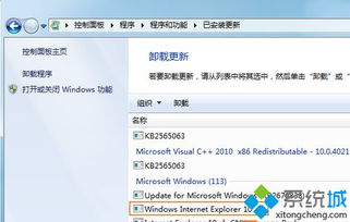 ie8浏览器下载官方免费win7和5.8.0版本,安全性方案解析-扩展版_v1.809