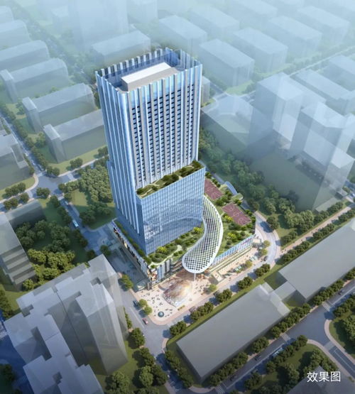 2025年12月26日 第7页